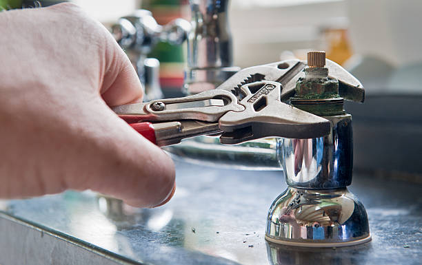 Best Mold removal after water damage  in Berlin, NJ