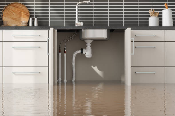 Best Basement water damage restoration  in Berlin, NJ