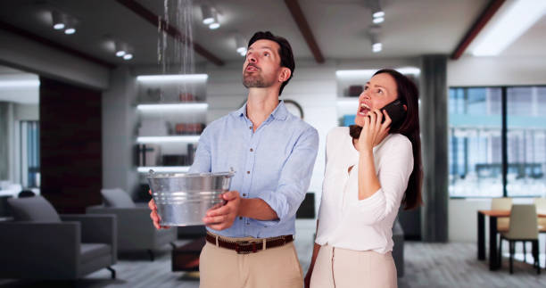 Best Local water damage restoration  in Berlin, NJ